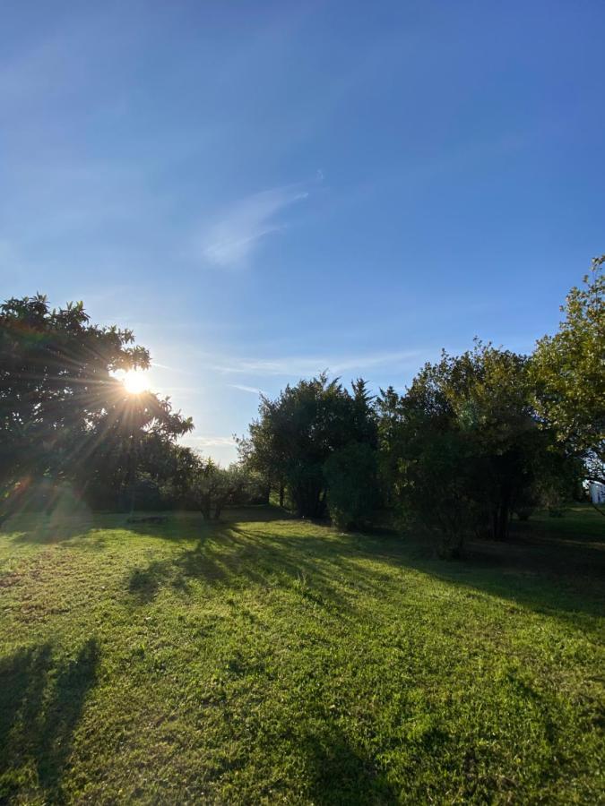 Studio Climatise Dans Un Ancien Domaine Viticole モンペリエ エクステリア 写真