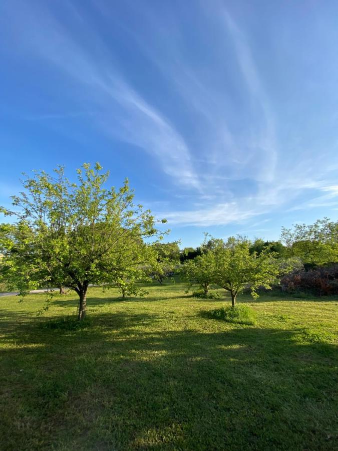 Studio Climatise Dans Un Ancien Domaine Viticole モンペリエ エクステリア 写真